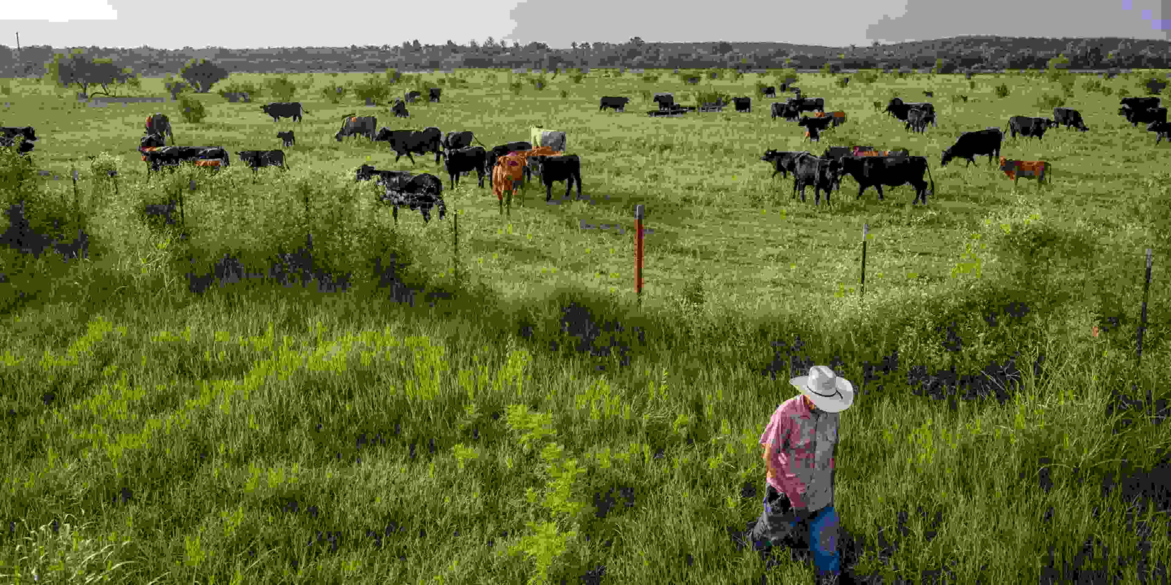 The Story of Texas: From Republic to Statehood